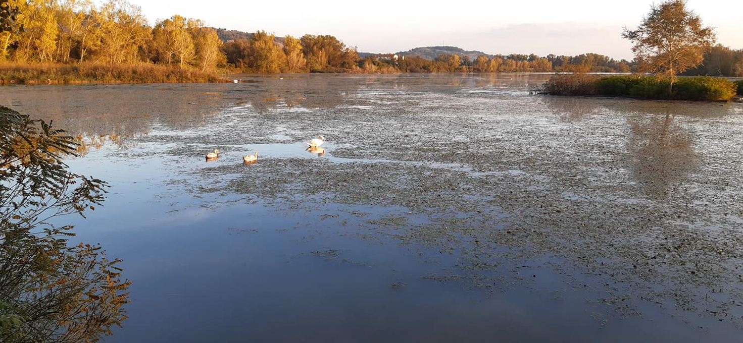 oasi wwf di Alviano