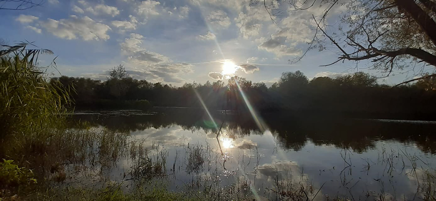 oasi wwf di Alviano