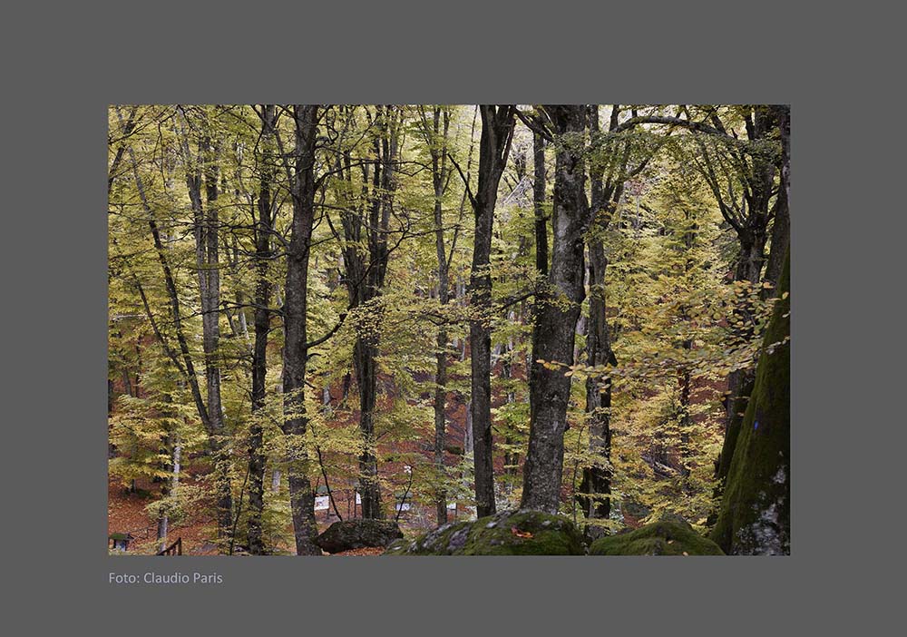 Foto in Mostra