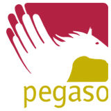 Pegaso Fondo Pensione
