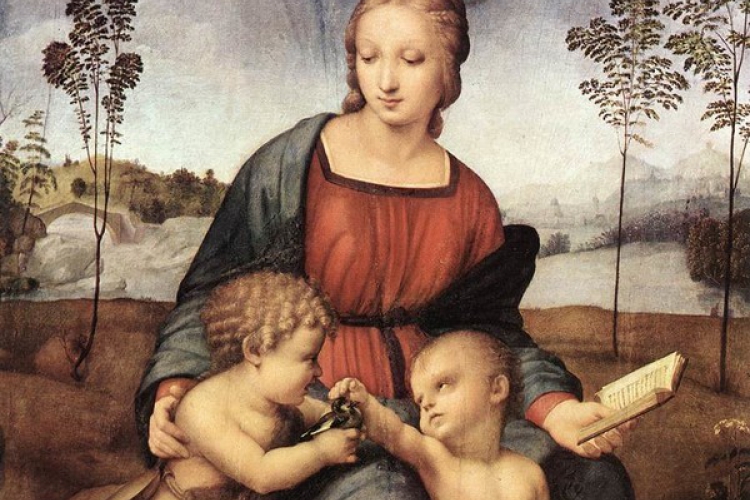 Visita guidata MOSTRA DI RAFFAELLO