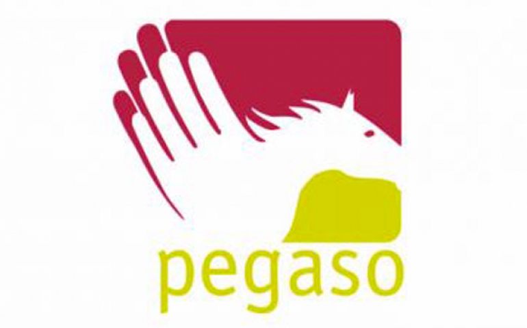 Logo Pegaso